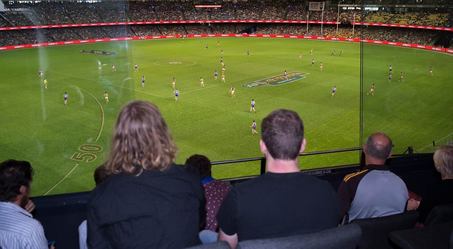 Supporters watch from a private suite at Marvel Stadium
